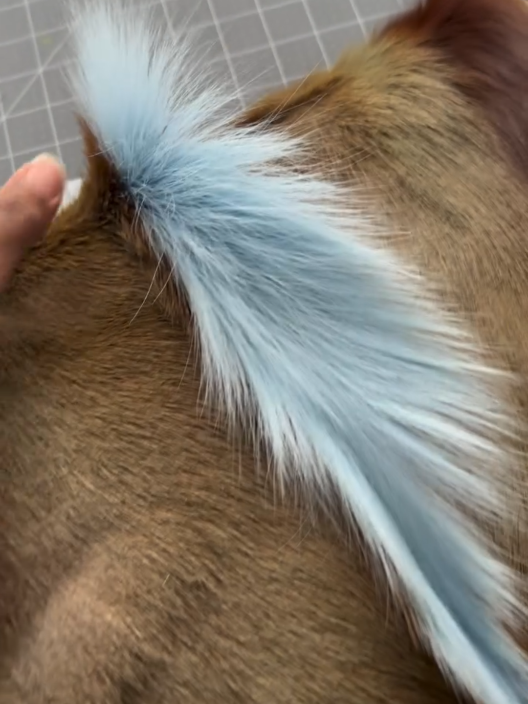 Fur & Blue Fringe Clutch Bag