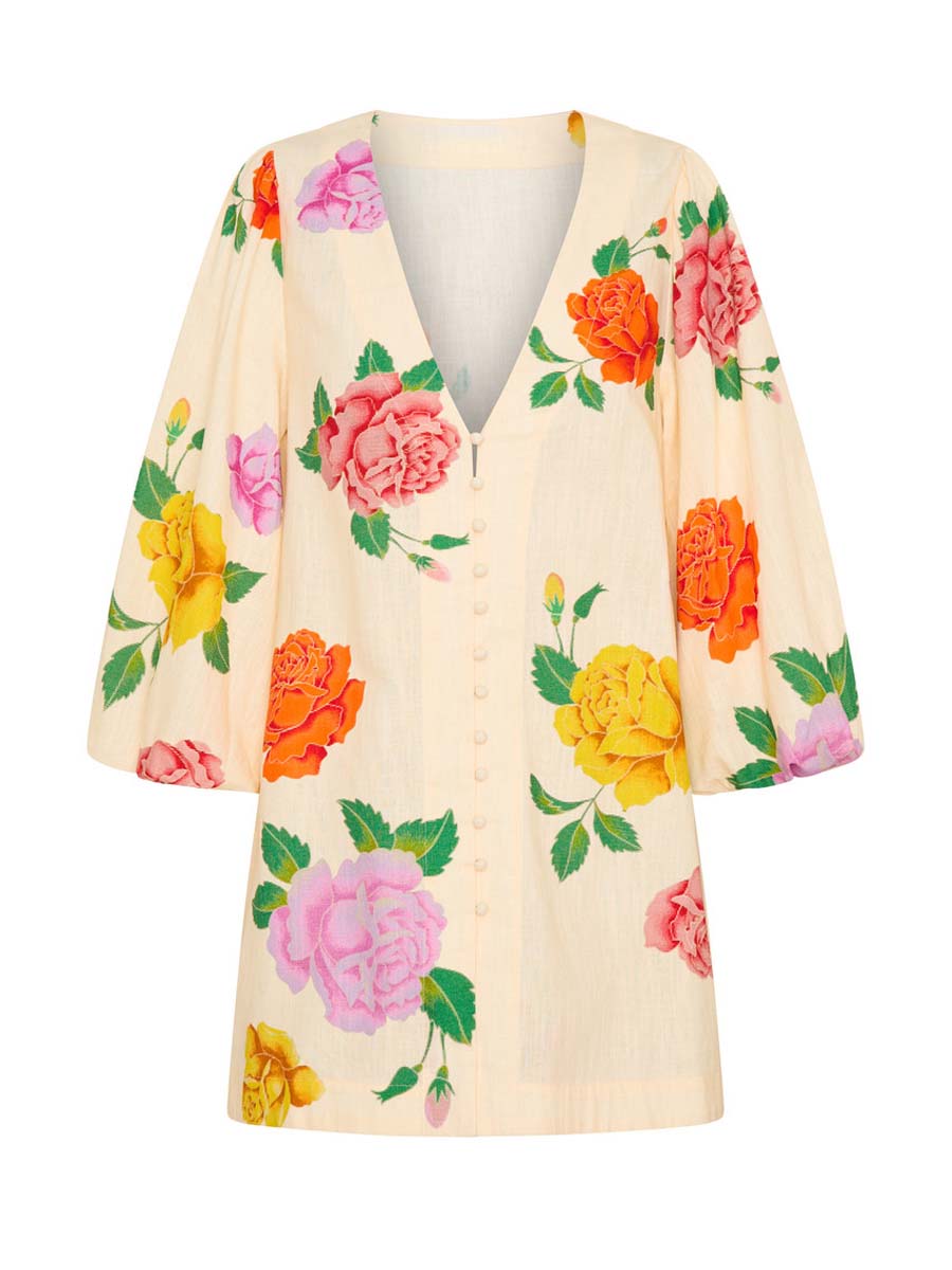 Floral Print V Neck Long Sleeve Mini Dress