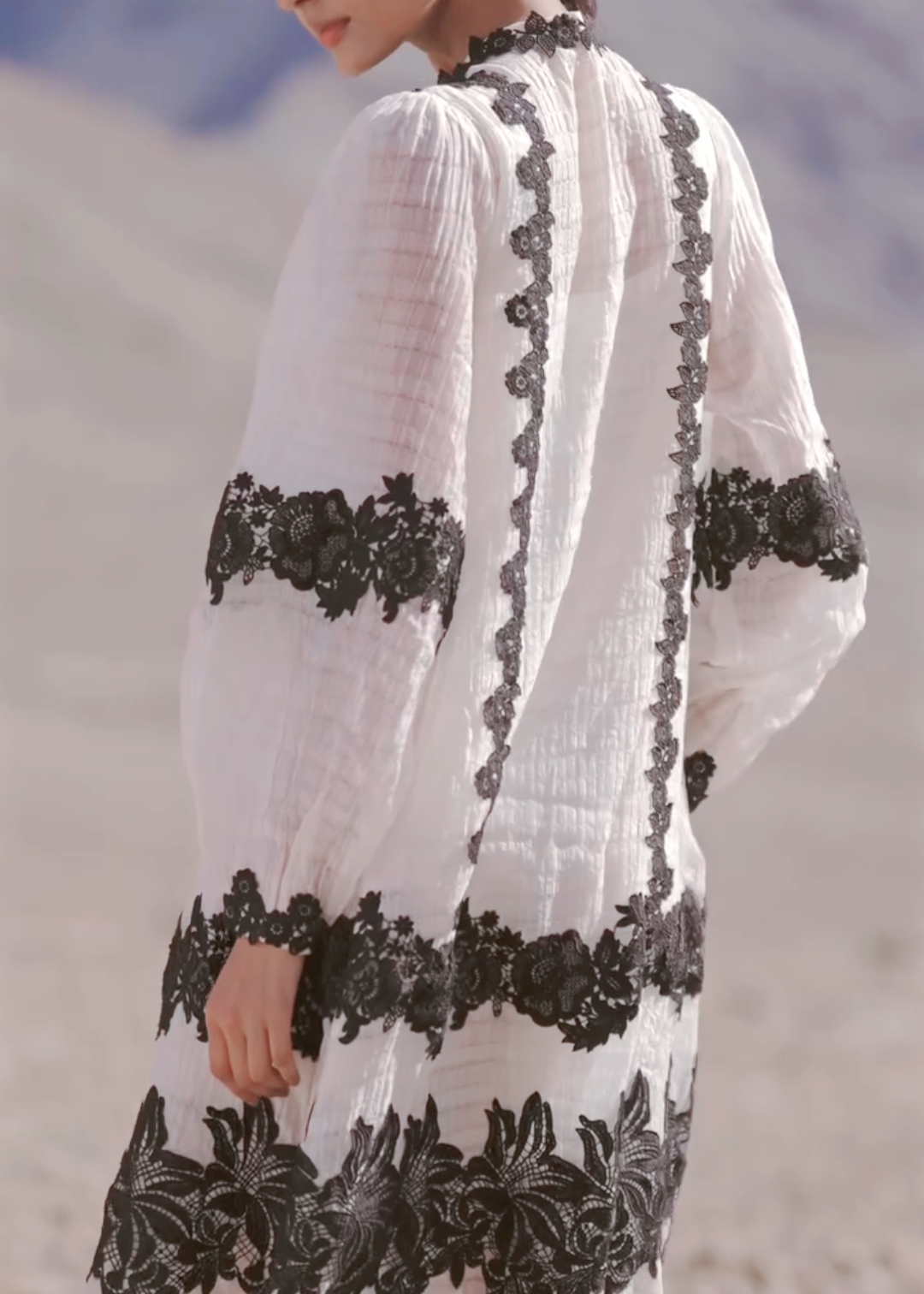 Lace Mesh Dress Two-piece Set